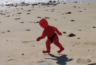 Trolls In The Hamptons